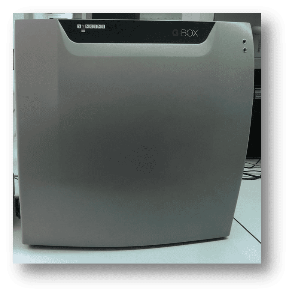 Système d'imagerie Syngene G:Box
