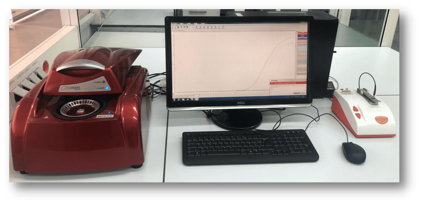 Thermocycleur en temps réel Corbett Research